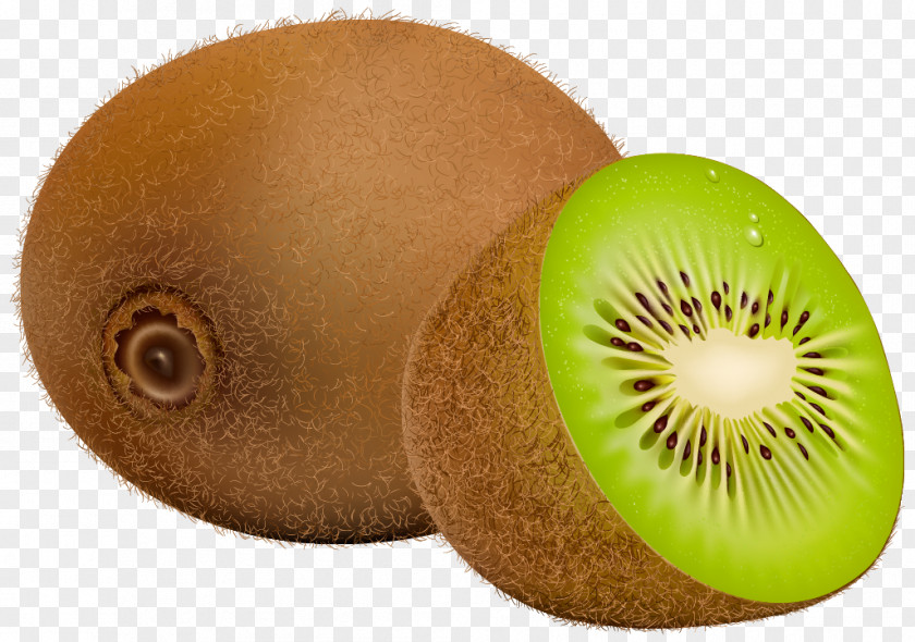 Kiwi Kiwifruit Clip Art PNG