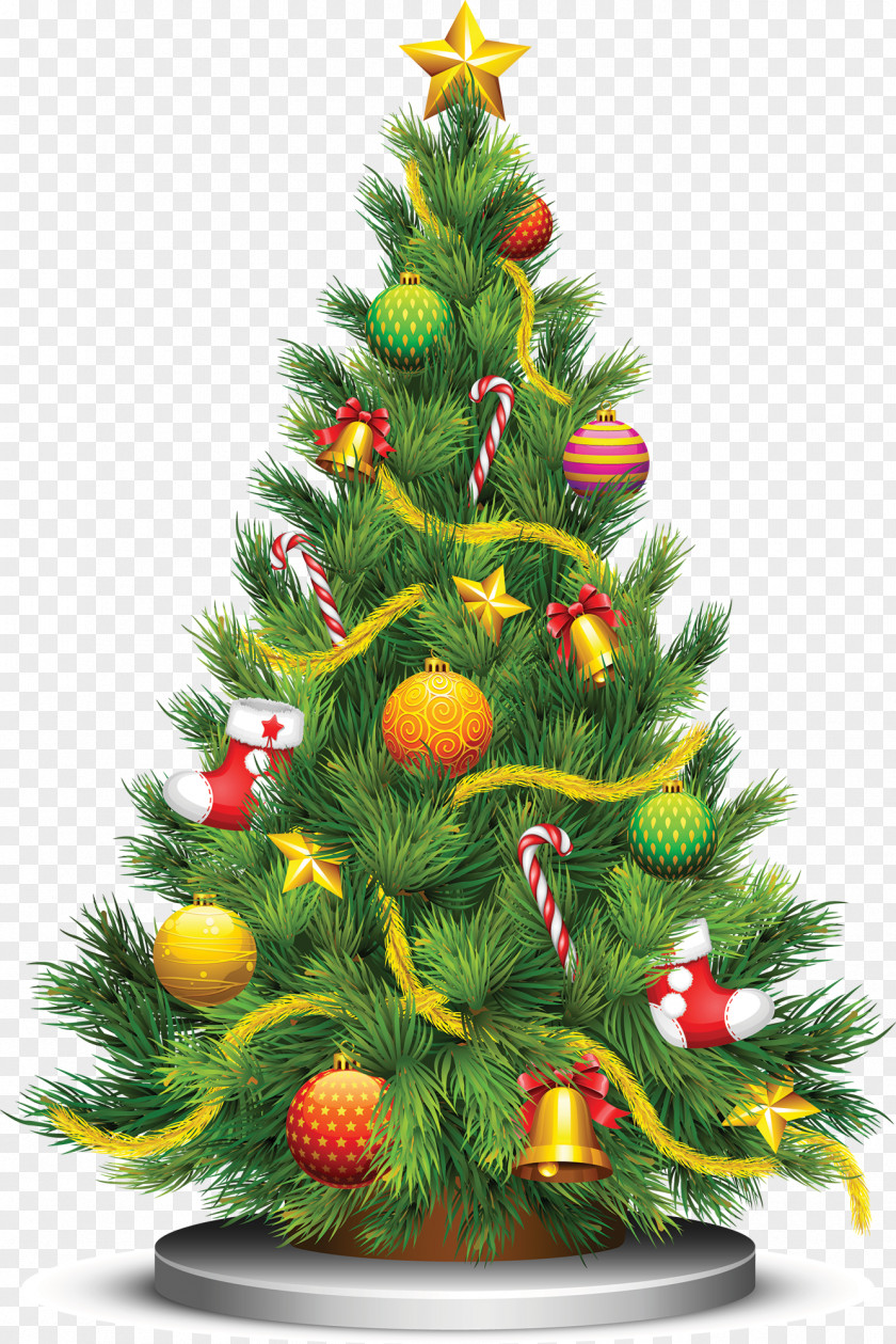 Christmas Tree PNG tree clipart PNG