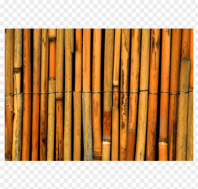 Fence Tropical Woody Bamboos Paper Reed Cane PNG