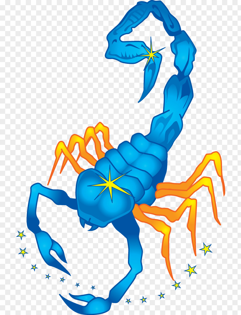 Libra Scorpio Astrological Sign Horoscope Talisman PNG