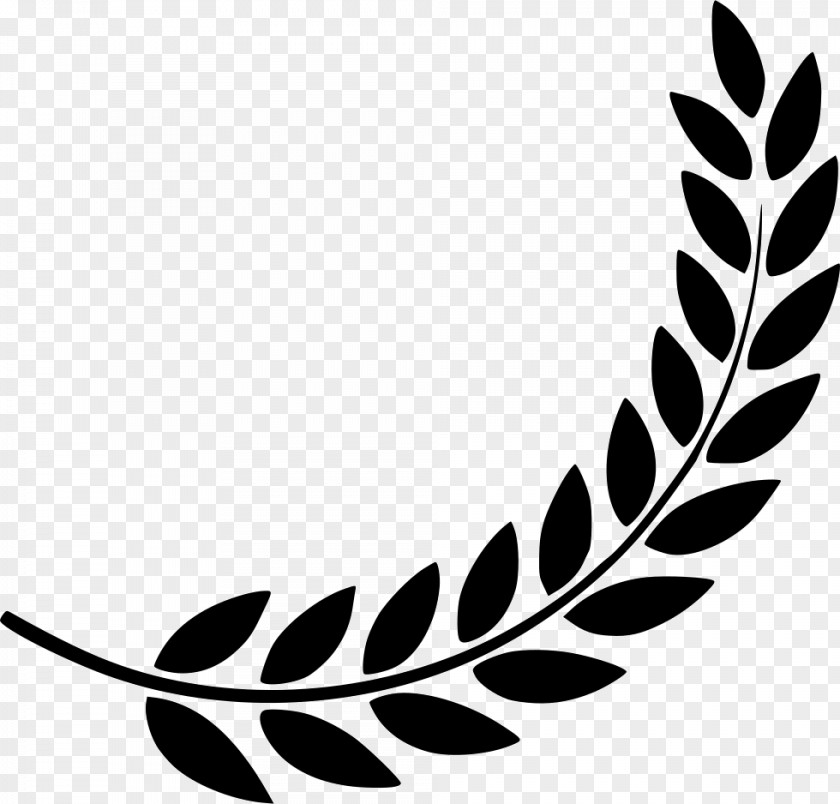 Olive Wreath Laurel Symbol PNG