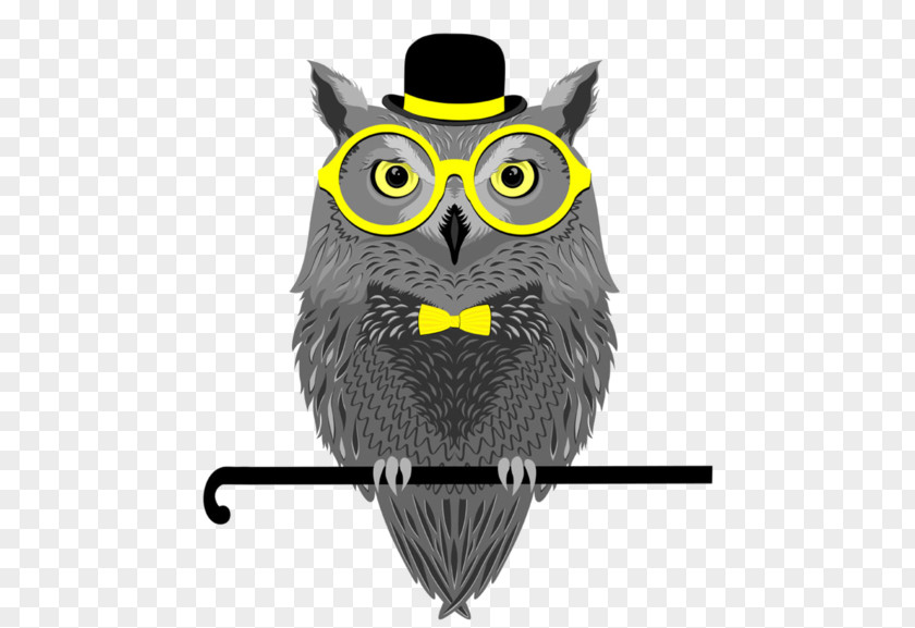 Owl Stock Photography PNG