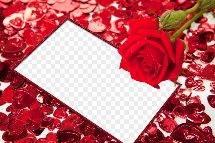 Red Flower Frame HD Picture Heart High-definition Video PNG