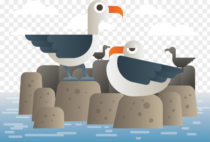 Seagull Animals In The Water Penguin Illustration PNG