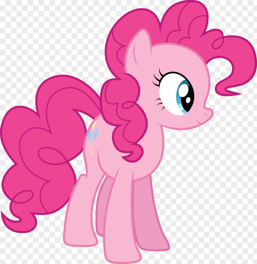 Unprofessional Vector Pinkie Pie Rainbow Dash Princess Skystar Applejack Rarity PNG