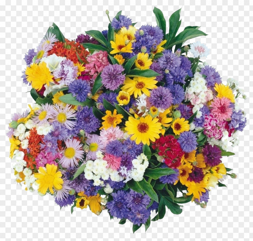 Color Chrysanthemums Bouquet Flower YouTube Animation PNG