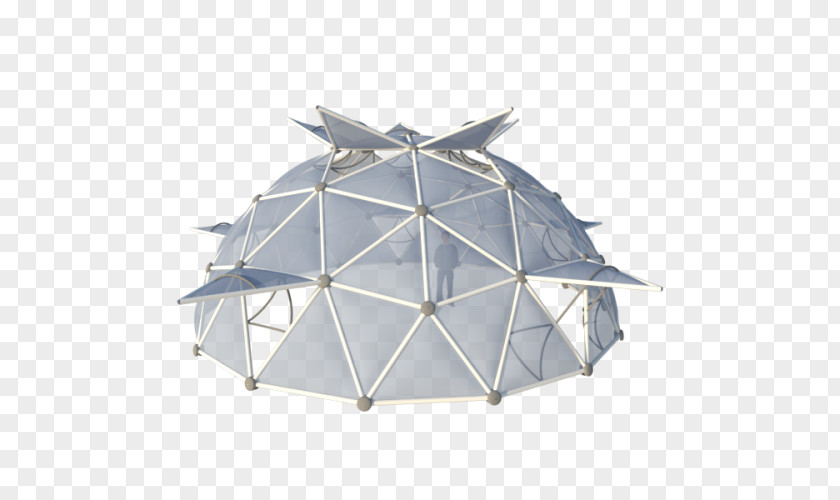 Inexpensive Geodesic Dome Greenhouse Structure PNG