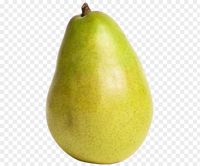 Pear Fruit Apple Clip Art PNG