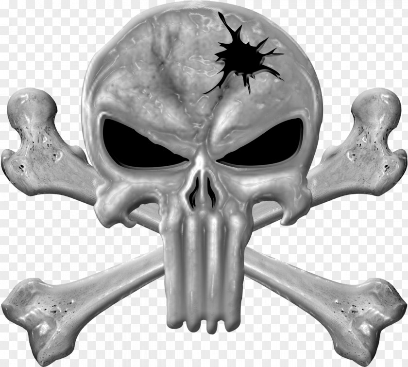 Skeleton Jaw Bone Skull PNG