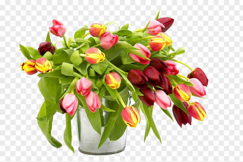 Tulips Beautiful HD Pictures Floral Design Tulip Flower Bouquet Stock Photography PNG