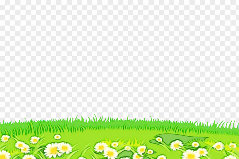 Field Leaf Grass Green Meadow Natural Landscape Lawn PNG