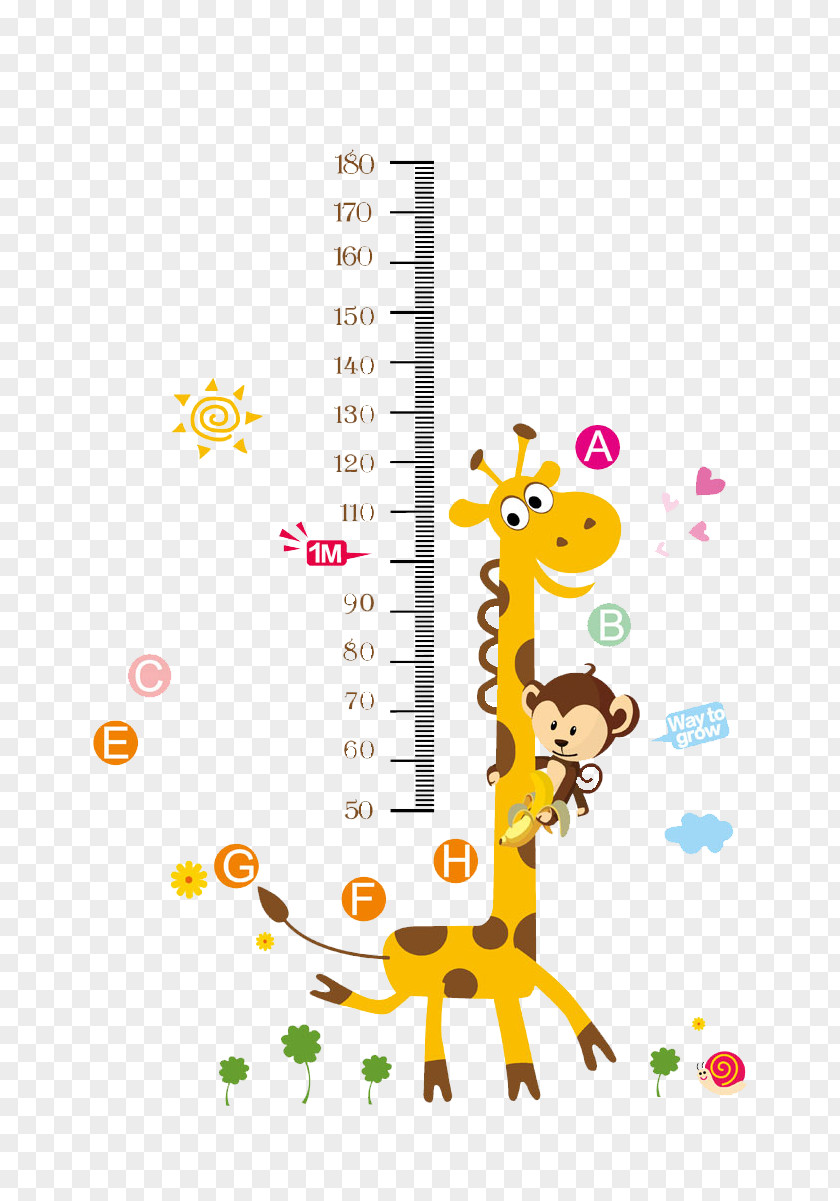 Giraffe Growth Process Chart Child Wall Decal Nursery PNG