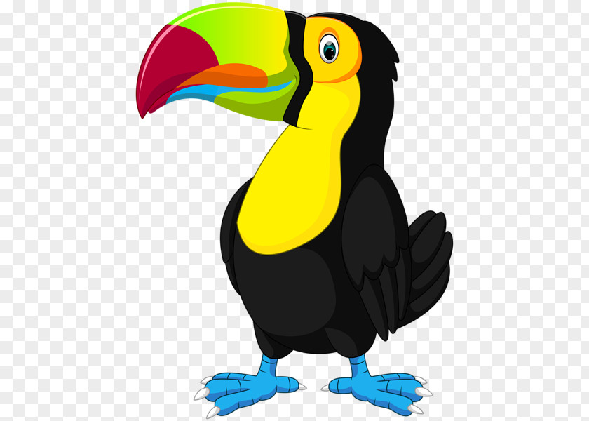 Toucan Can Opener Vector Graphics Clip Art Illustration Royalty-free PNG