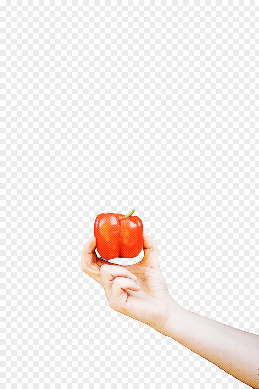 Vegetable Fruit H&m Apple PNG