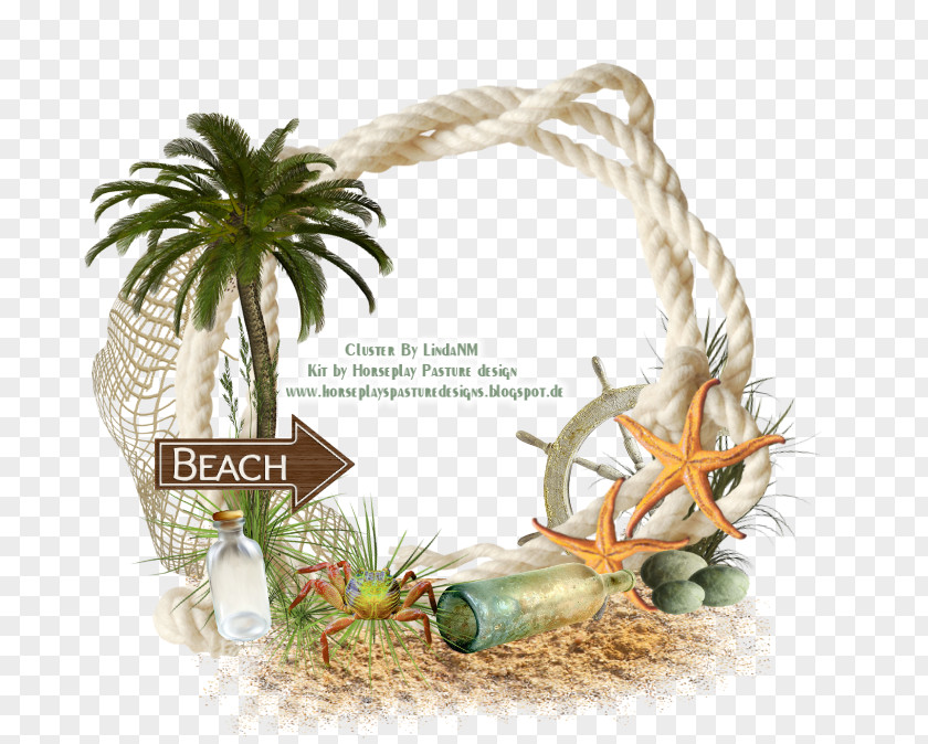 Beach Thepix Picture Frames PNG