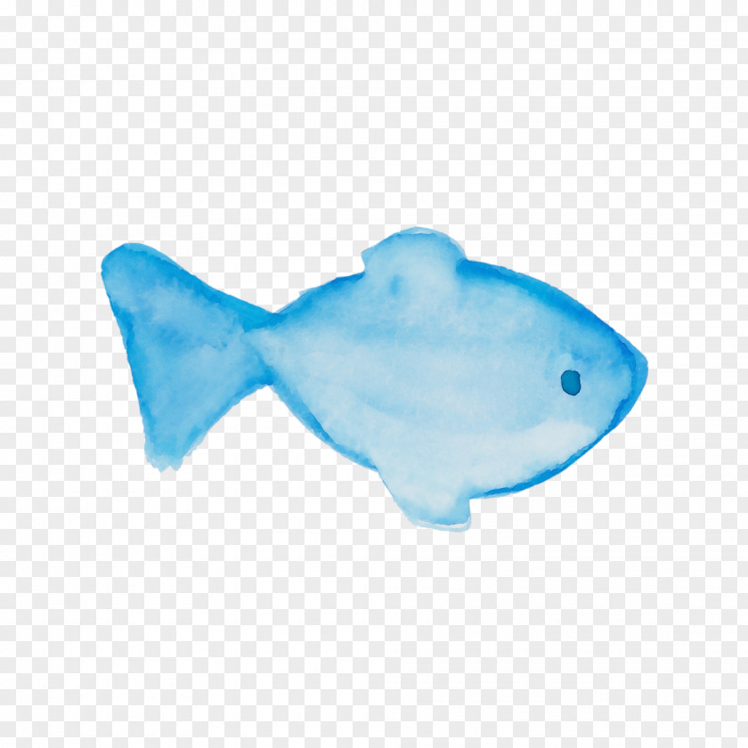 Blue Turquoise Fish Aqua PNG