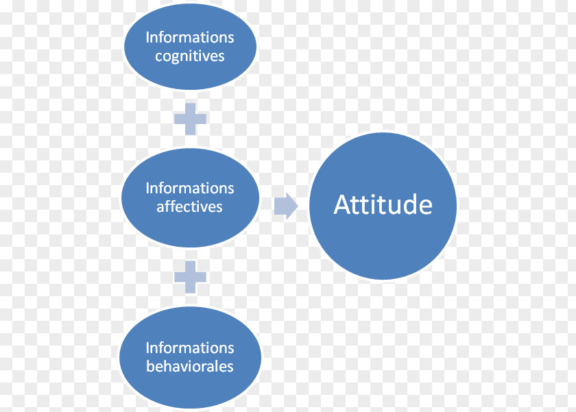 Business Attitude Aptitude Businessperson Organization PNG