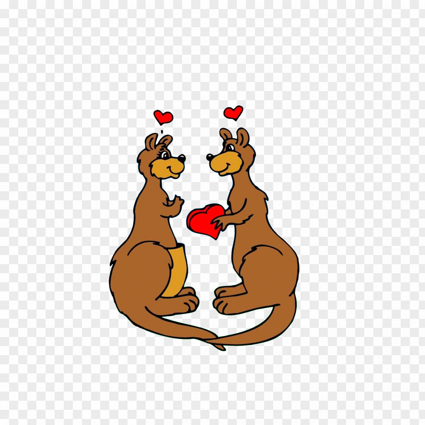 Courting Kangaroo Illustration PNG