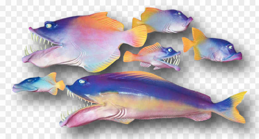 Fish Body Marine Biology Mammal Fauna Pink M PNG