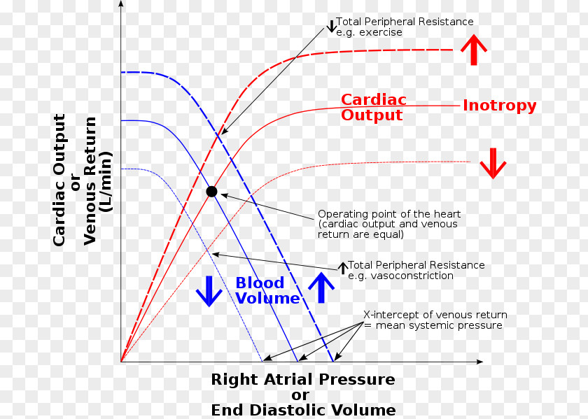 Heart Disease Frank–Starling Law Venous Return Curve Ailment Loi De Frank-Starling PNG