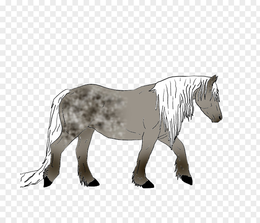 Mustang Mule Stallion Pony Mare PNG