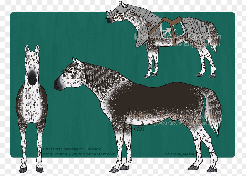 Mustang Pony DeviantArt Stallion PNG