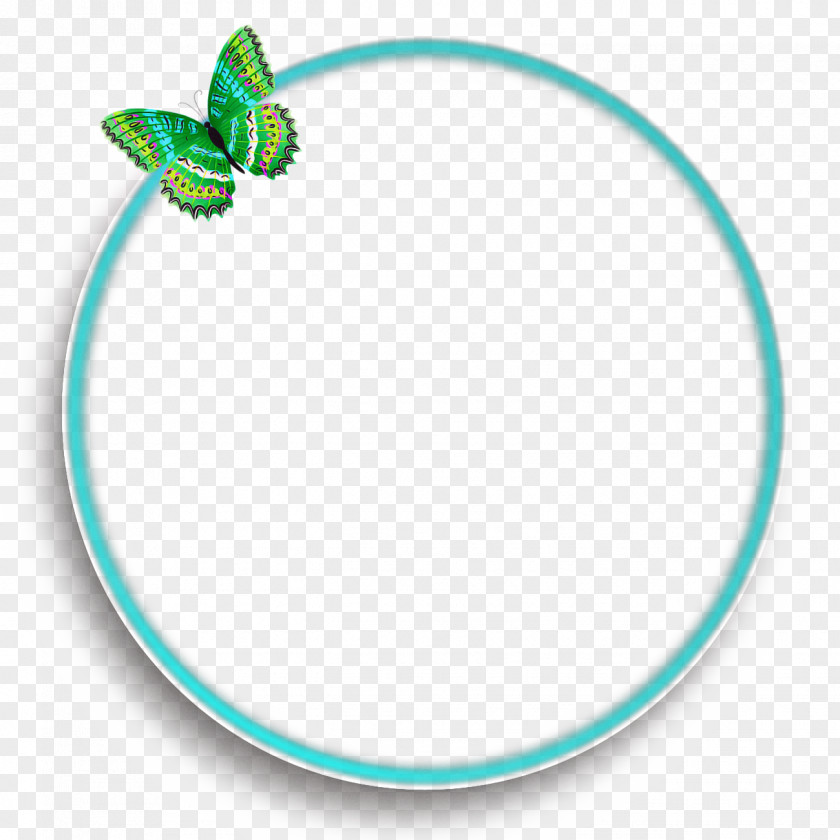 Oval Tableware Pollinator Turquoise PNG