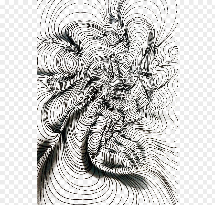 Contour Line Drawing Artist Pattern PNG