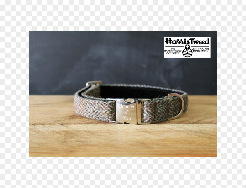 Dog Collar Belt Webbing PNG