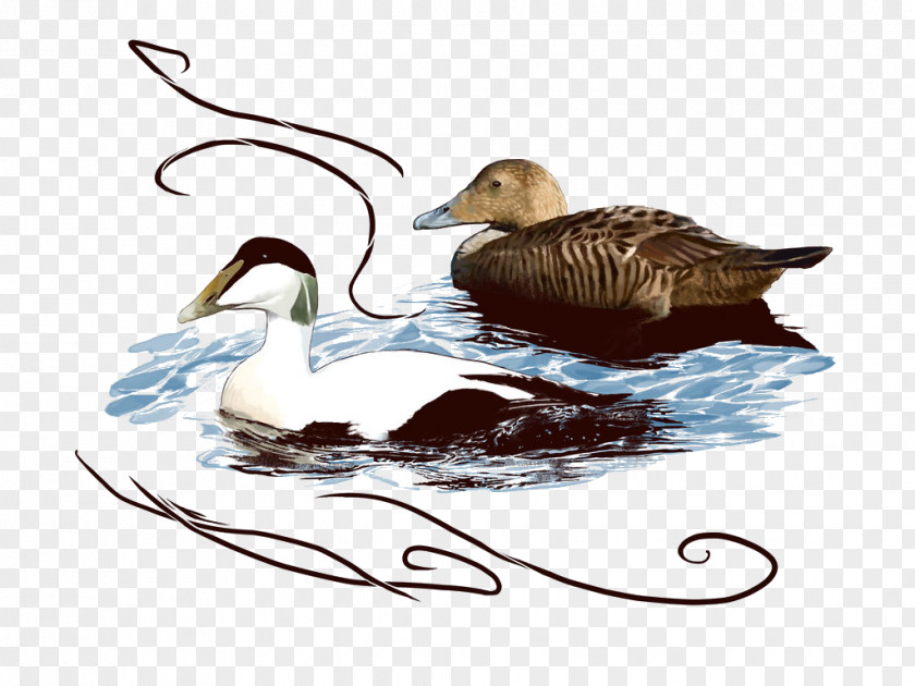 Duck Goose Icon PNG