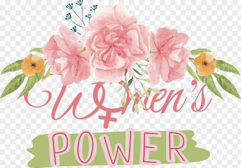 Floral Design PNG