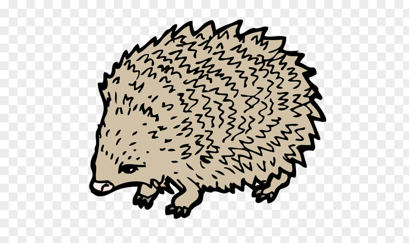 Hedgehog Drawing Clip Art PNG
