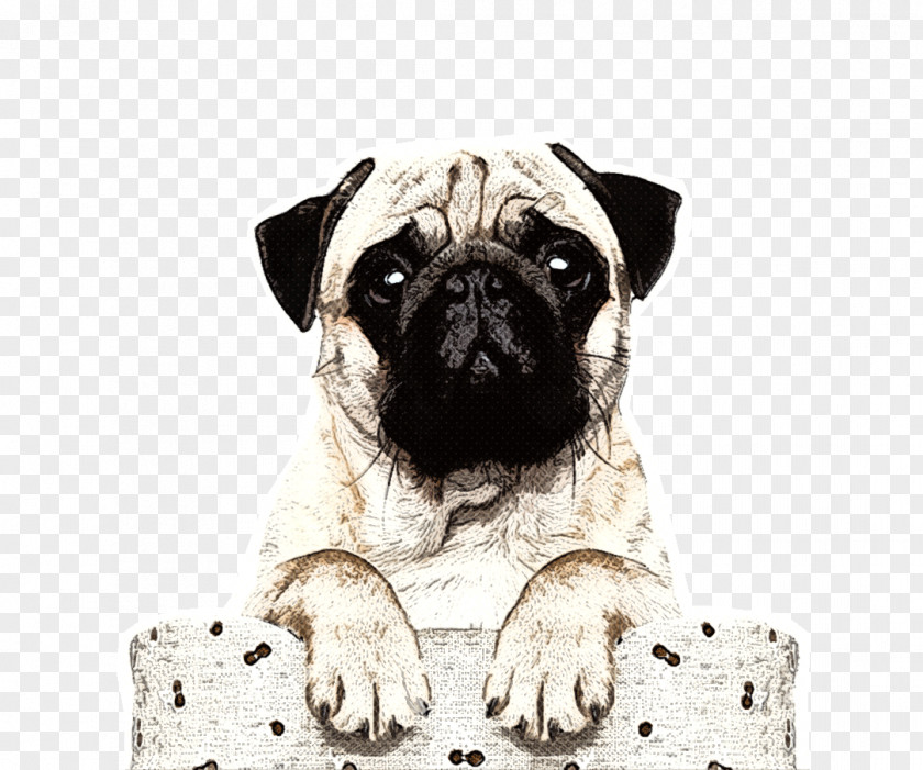 Puppy Pug Boxer Verjaardagskalender Stock Photography PNG