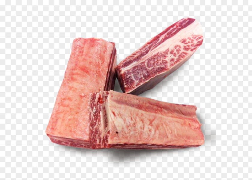 Ribs Matsusaka Beef Kobe Soppressata Mettwurst Goat Meat PNG