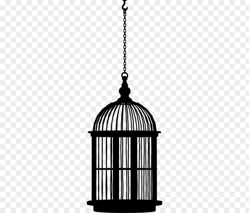 Bird Png Image A Doll's House Birdcage Clip Art PNG