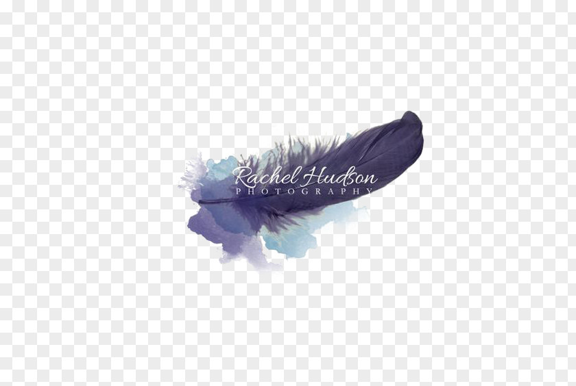 Blue Feathers Free Button Elements Logo Feather Photography Idea Photographer PNG