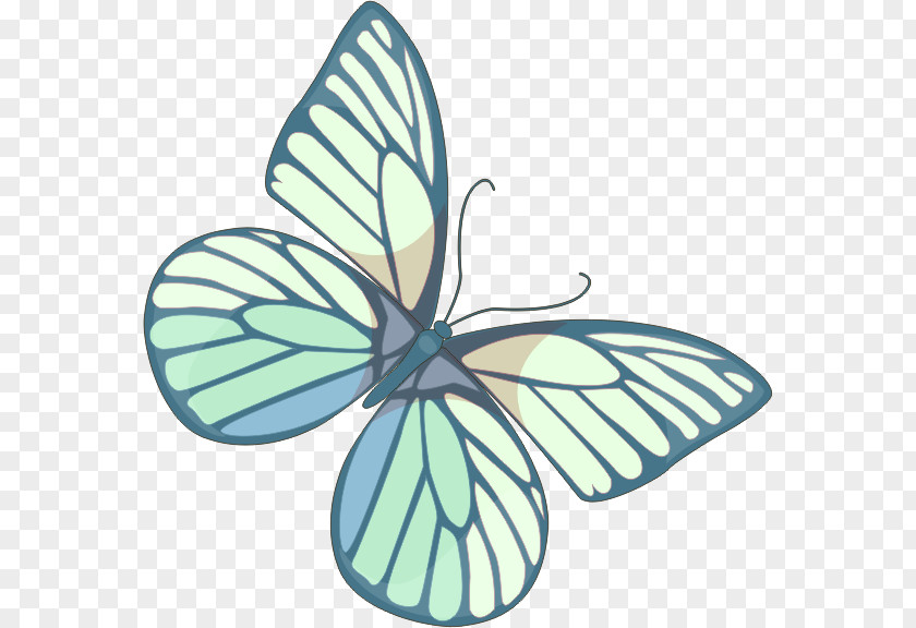 Butterfly Art Clip PNG