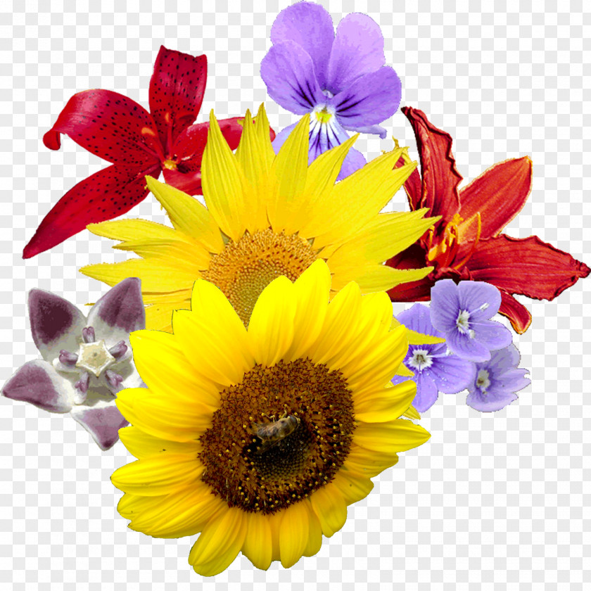 Flower Bouquet Cut Flowers Clip Art PNG