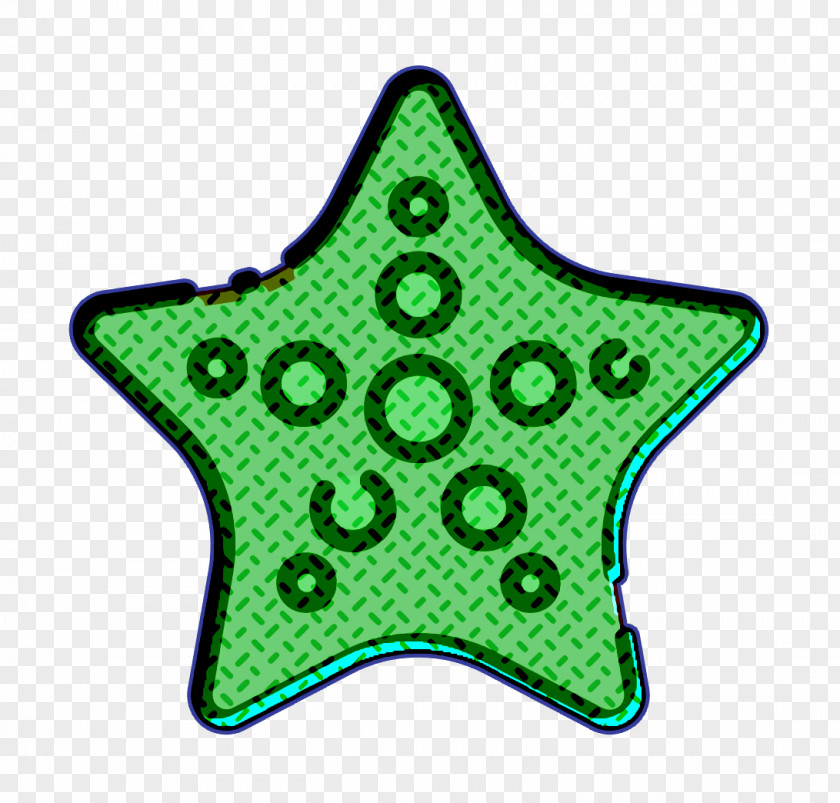 Starfish Icon Summer PNG
