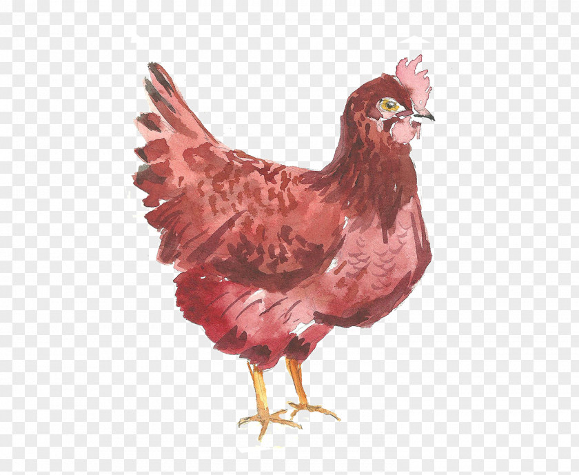 Chicken Computer File PNG
