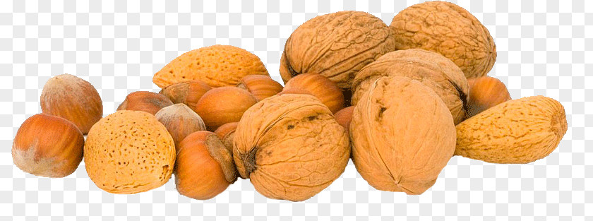 Fried Pumpkin Seeds Food Allergy Diet Fatty Acid PNG