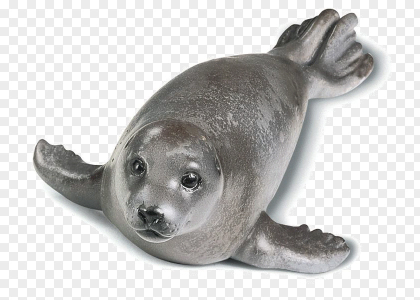 Harbor Seal Seals & Sea Lions Earless Schleich PNG