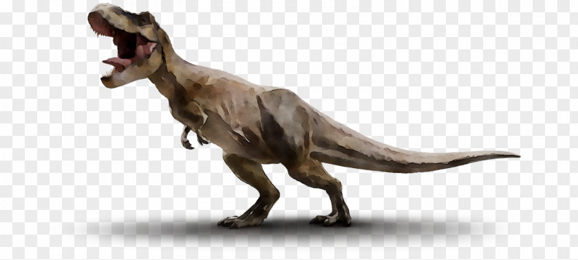 Tyrannosaurus Velociraptor Brachiosaurus Triceratops Stegosaurus PNG