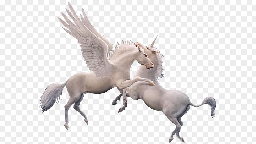 Unicorn Winged Pegasus Clip Art PNG