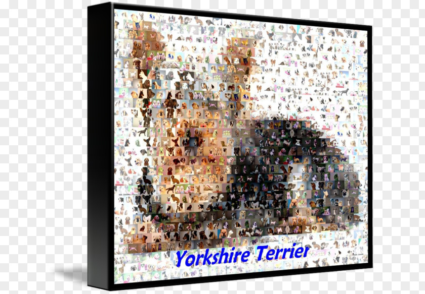 Yorkshire Terrier Art PNG