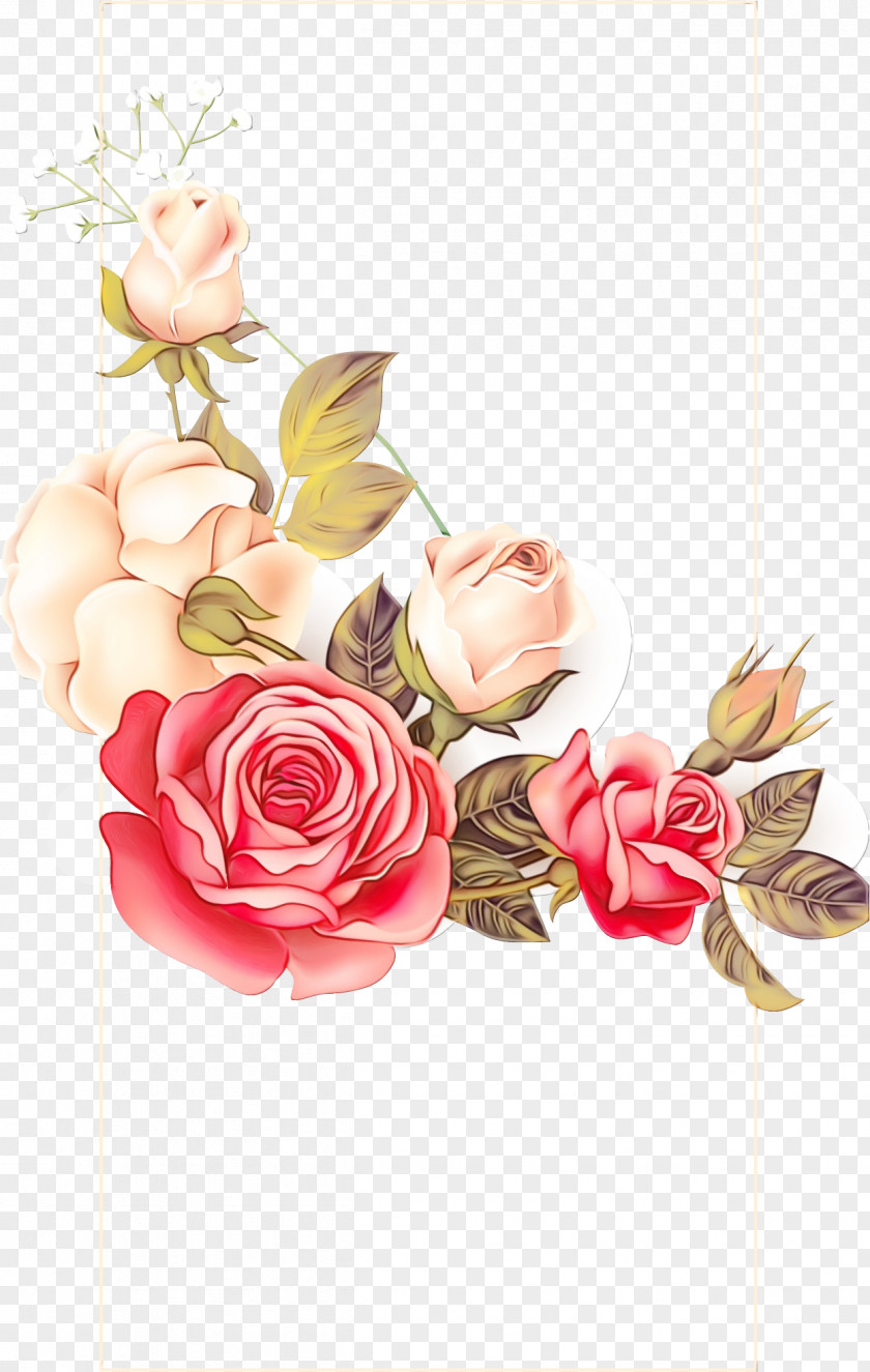 Garden Roses PNG