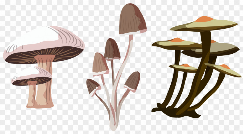 Mushroom Fungus Euclidean Vector Icon PNG