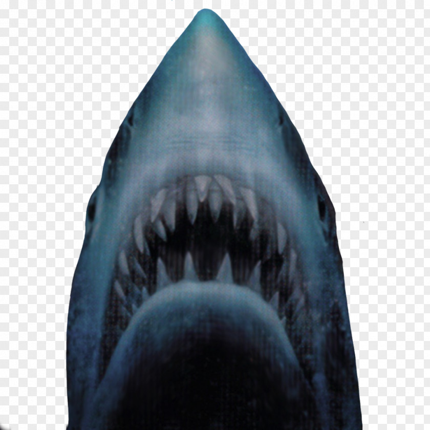 Sharks Jaws Unleashed Video Game Xbox One PNG