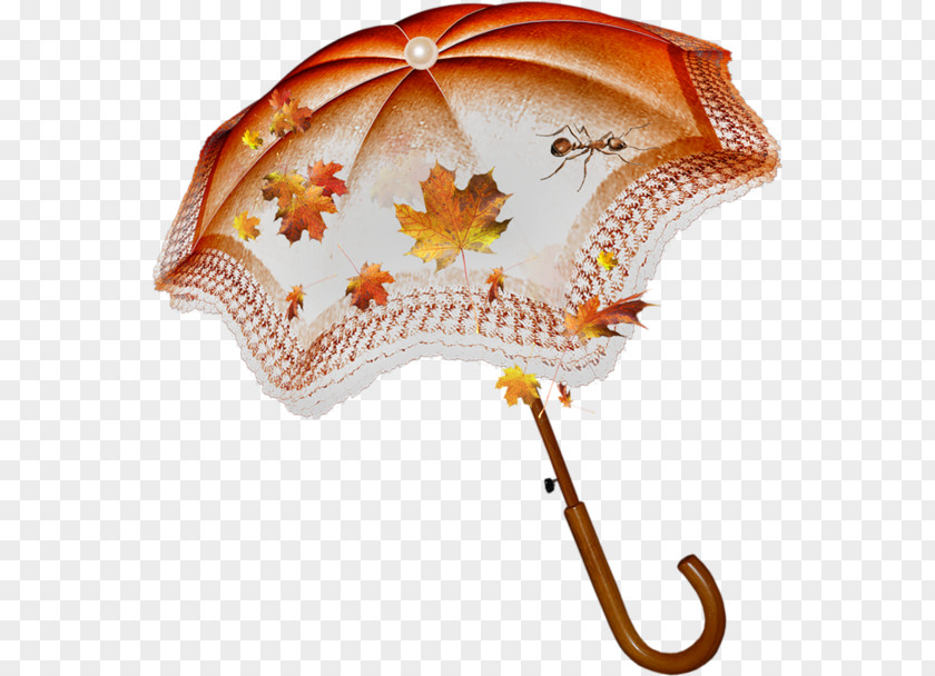 Umbrella Autumn Clip Art PNG