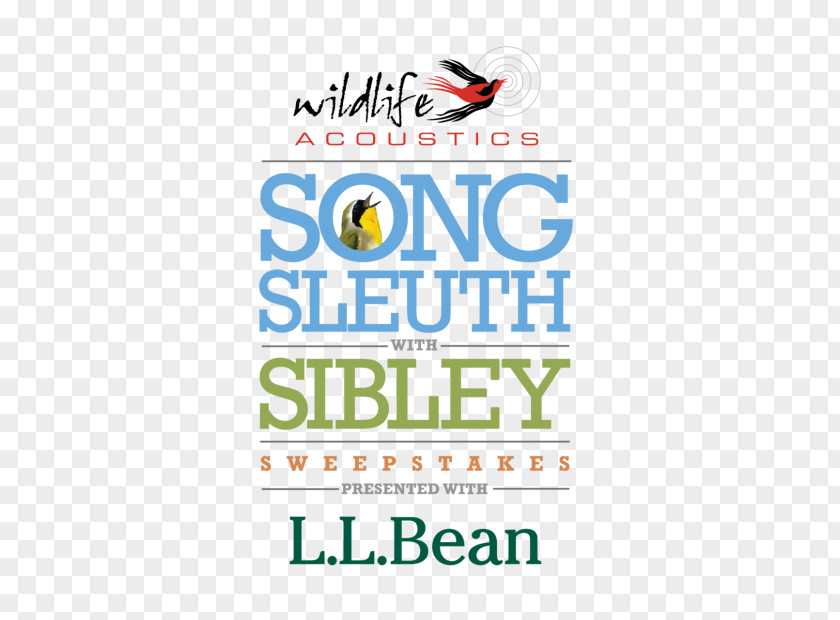 Bird Birdwatching Wildlife Acoustics L.L.Bean PNG